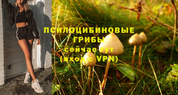 мет Нягань