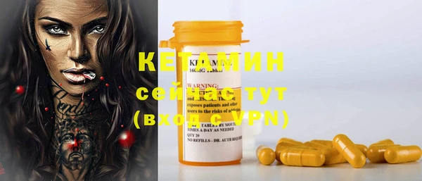 крисы Няндома
