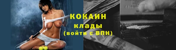 крисы Няндома