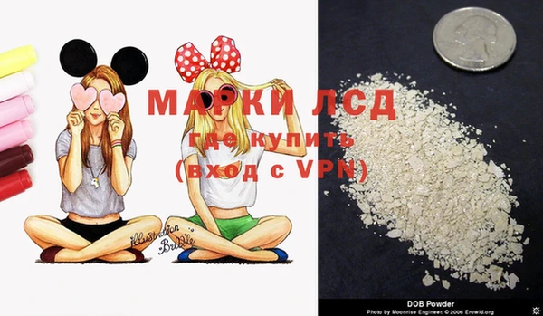 крисы Няндома