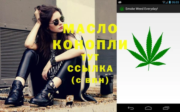 дживик Абаза