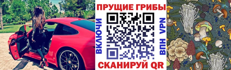 kraken ссылки  Заринск  Галлюциногенные грибы Cubensis  купить закладку 