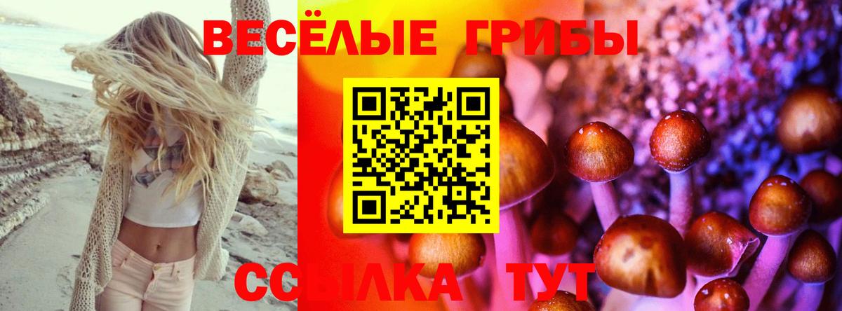 Заринск  Псилоцибиновые грибы прущие грибы  Вход с VPN 