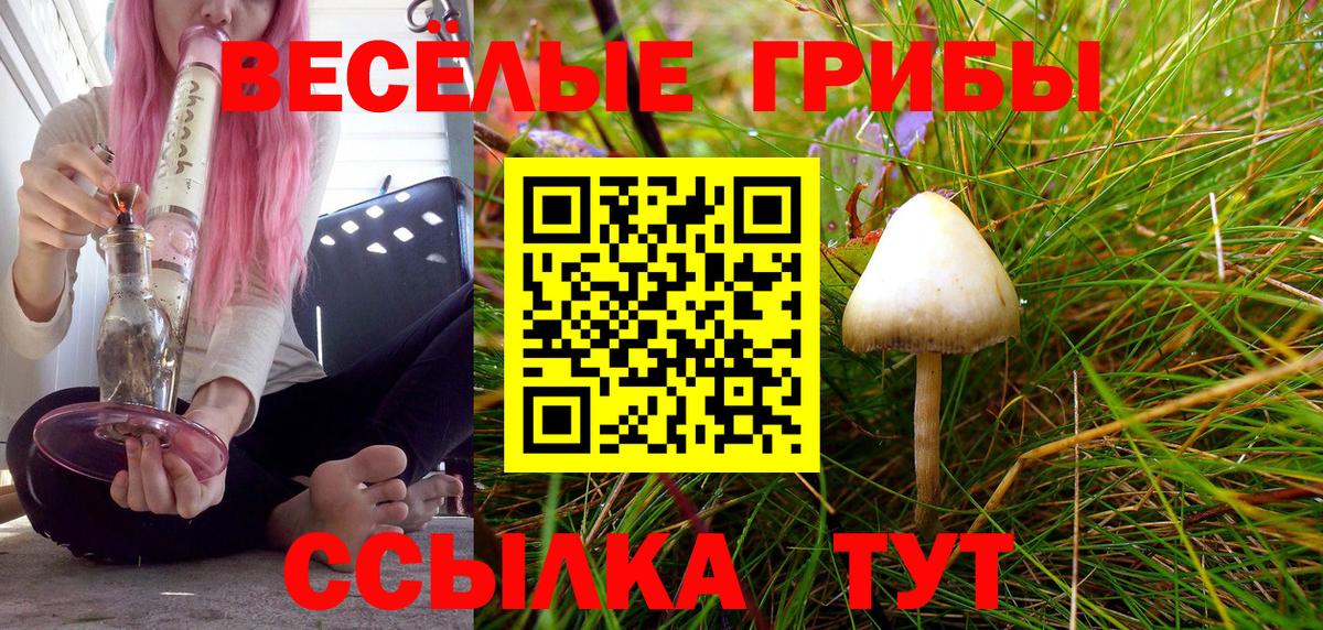 Псилоцибиновые грибы GOLDEN TEACHER Заринск